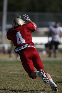 开云app下载-五大联赛最具统治力的球队如何打造，五大联赛良心球队